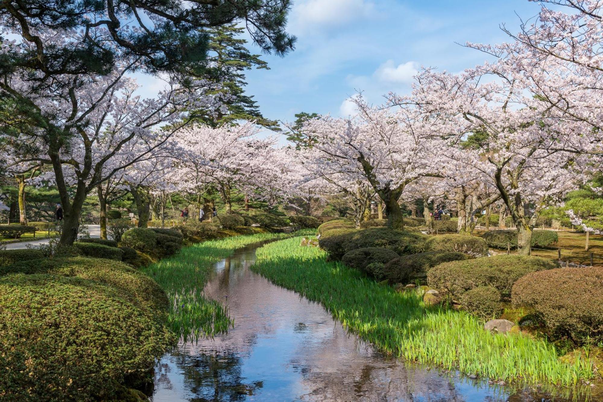 Tokyu Stay Kanazawa Exteriör bild