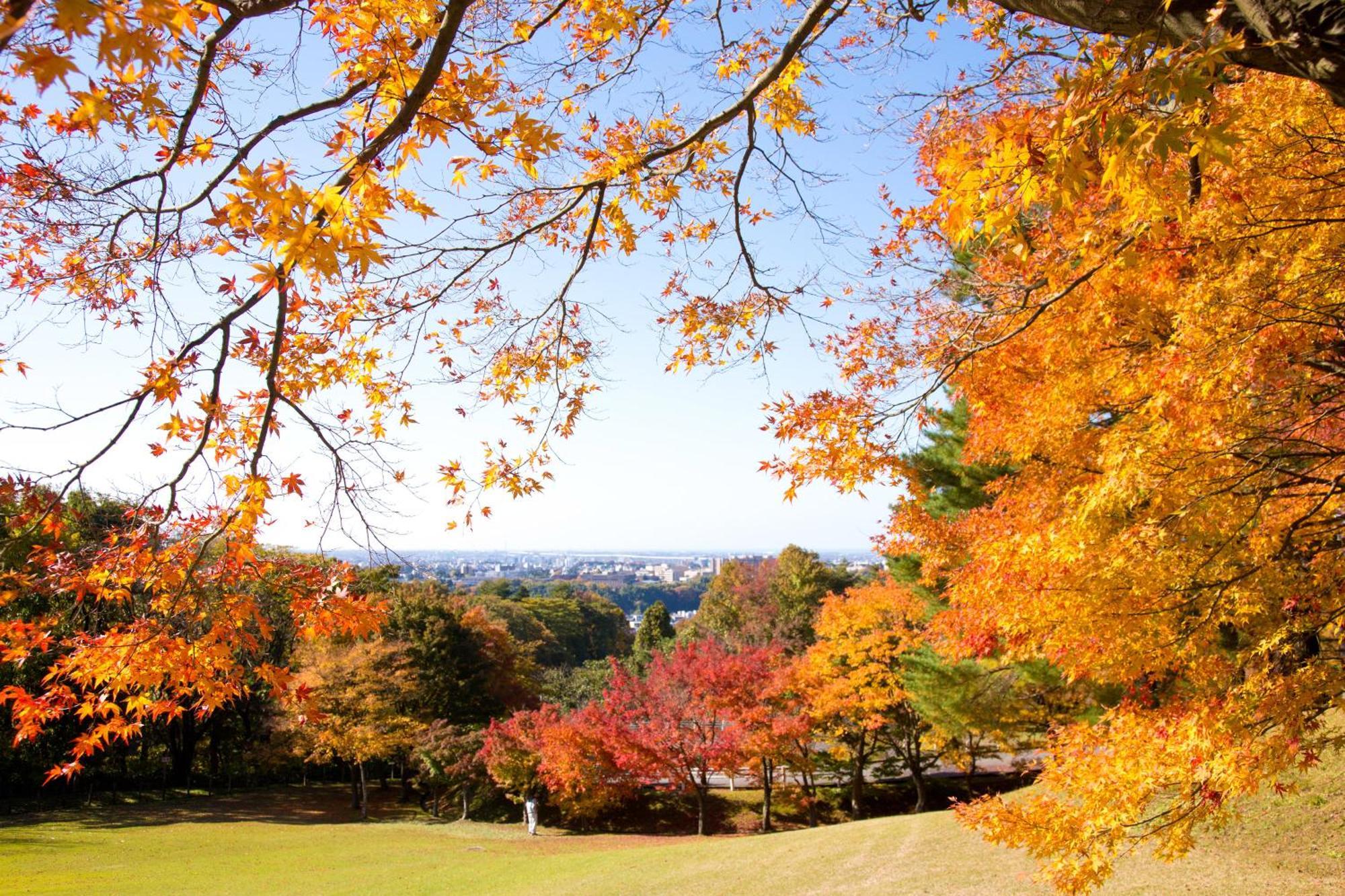 Tokyu Stay Kanazawa Exteriör bild